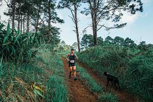 BIB: 
                            <button type="button" onclick="openModal(25653408)" class="btn btn-primary btn-sm float-right btn-popup" data-toggle="modal" data-target=".modal-high-quality">
                        <i class="fas fa-shopping-cart"></i> Add to Cart
                    </button>
                                            <button type="button" onclick="isThisMe(25653408, true)" class="btn btn-success btn-sm float-right btn-popup btn-isme hidden" data-toggle="tooltip" data-placement="bottom" title="นี่คือรูปของคุณใช่ไหม คลิกที่นี่เพื่อเอาเข้าอัลบั้ม">
                        <i class="fas fa-plus"></i> Add to album
                    </button>
                    <button type="button" onclick="isThisMe(25653408, false)" class="btn btn-warning btn-sm float-right btn-popup btn-isnotme hidden">
                        <i class="fas fa-ban"></i> Remove from album
                    </button>